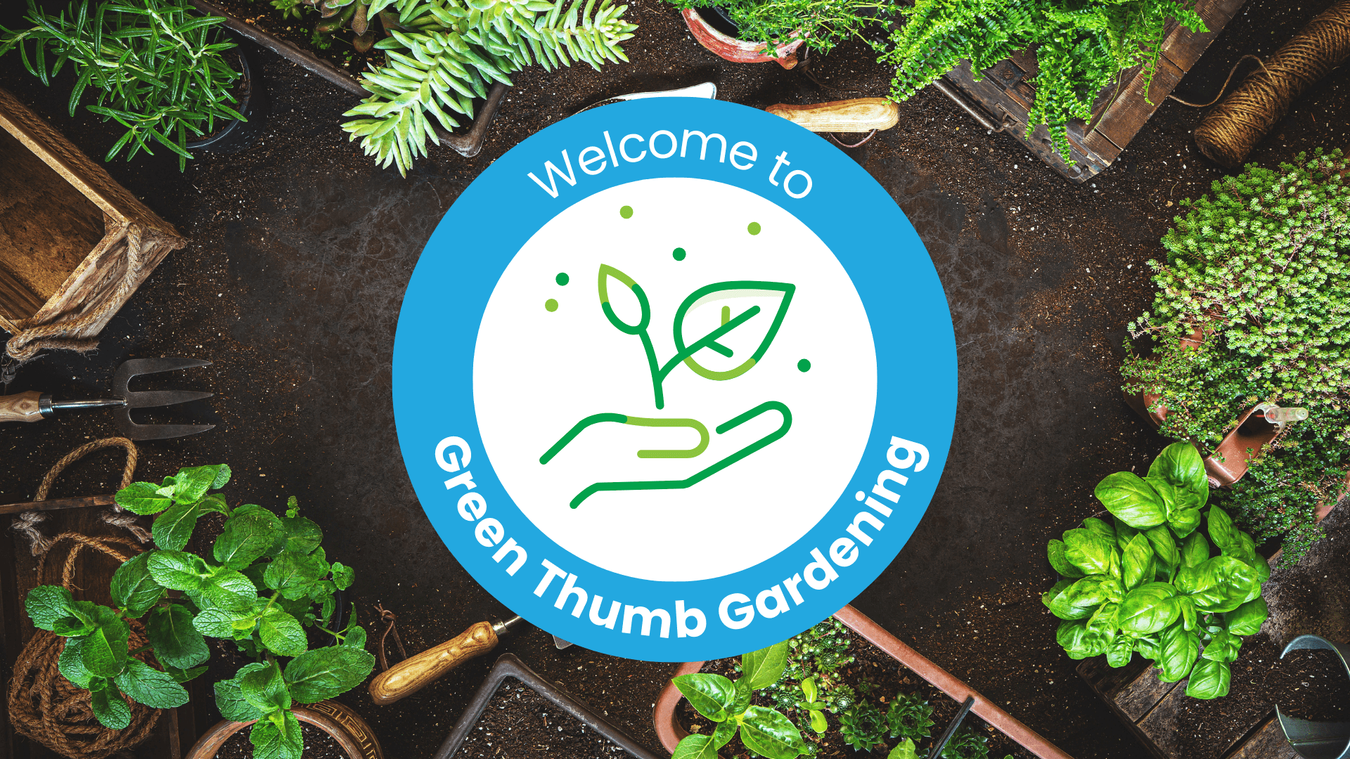 Mary Alleyne - Goodwill Garden Project
