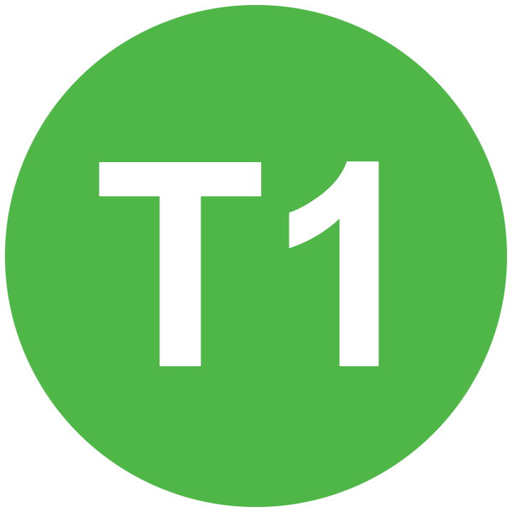 T1