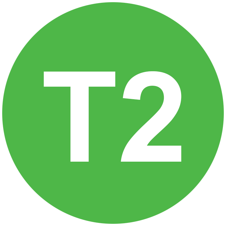 T2