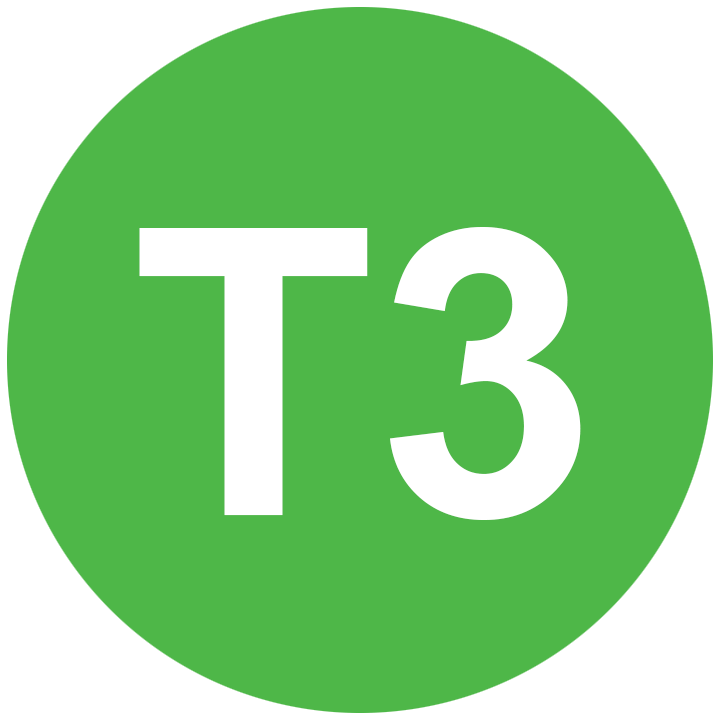T3