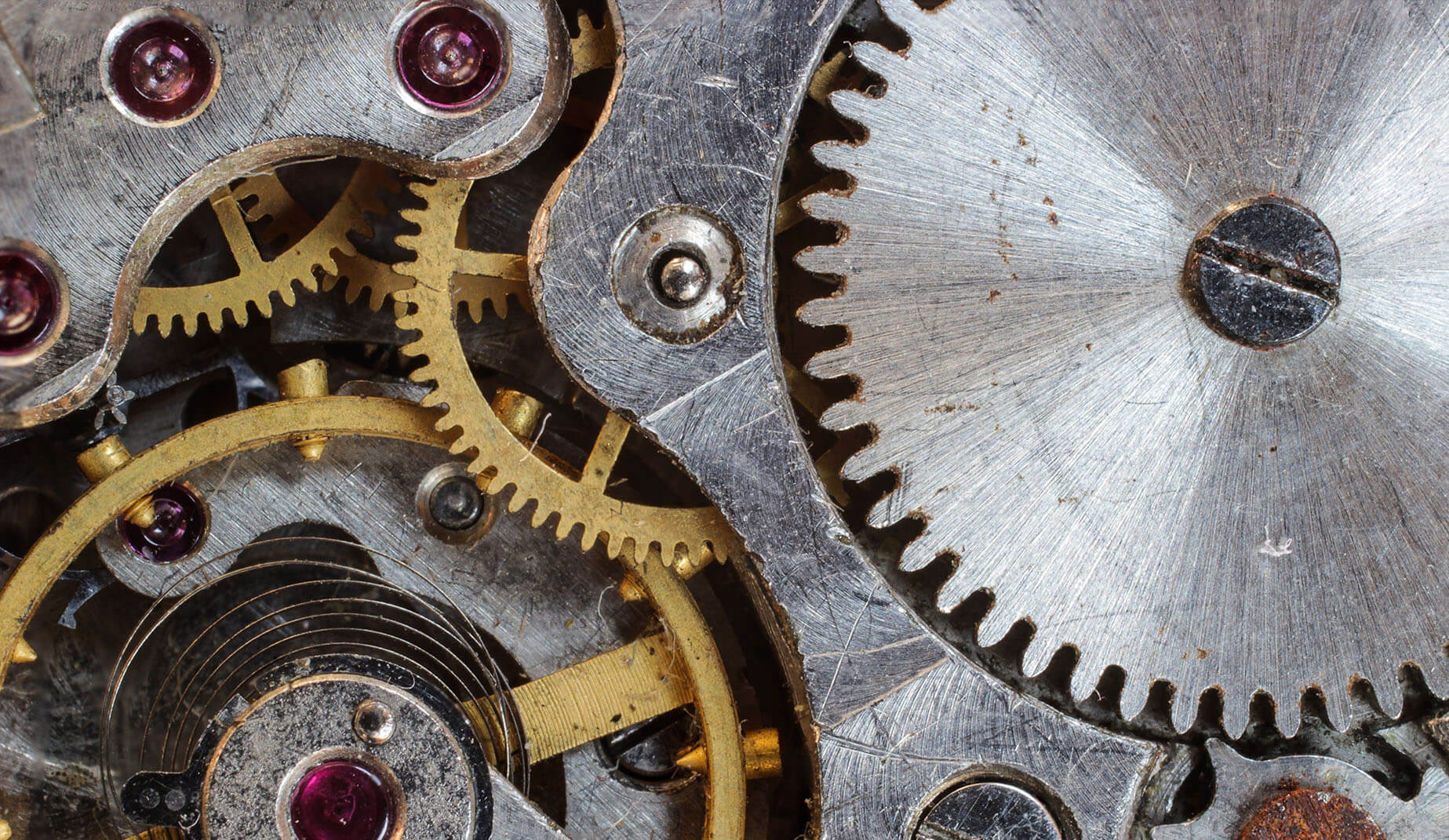 Explore Digitability’s Features