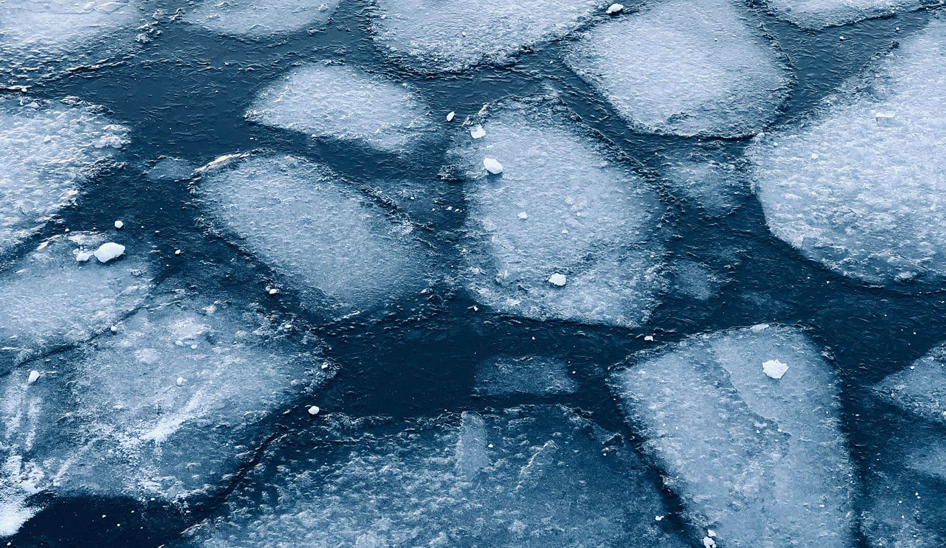 Icebreakers to Get Back Into School